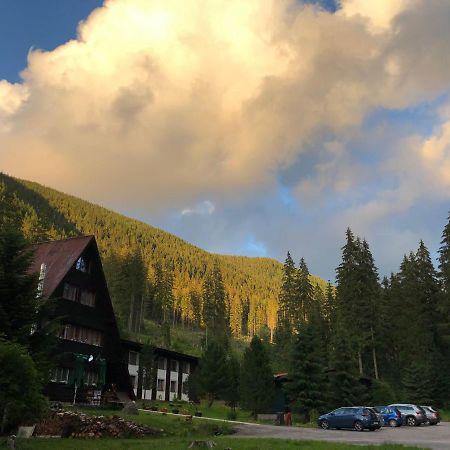 Chata Primula Zuberec Bagian luar foto