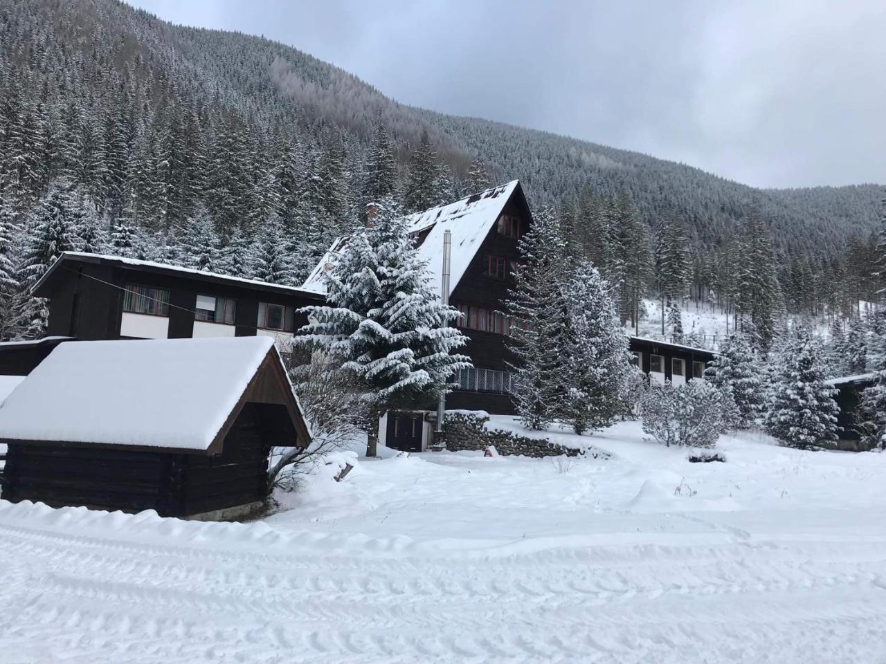 Chata Primula Zuberec Bagian luar foto