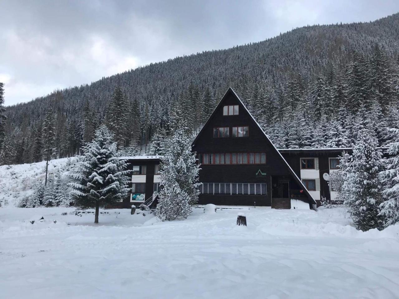 Chata Primula Zuberec Bagian luar foto